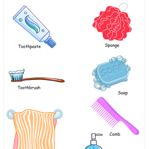 Things we use for Hygiene – worksheet
